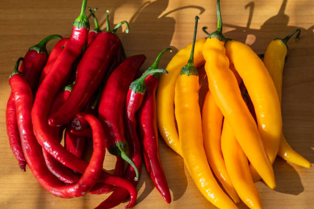 istock A pile of red and yellow pepper 1726057593