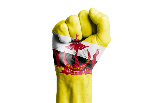 Man hand fist of BRUNEI flag painted. Close-up