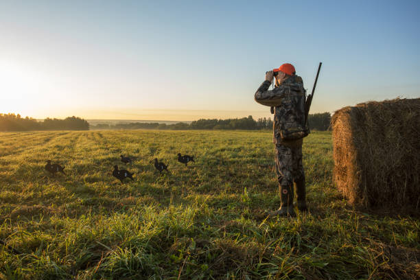 istock hunter using binoculars. Hunting period, autumn season. 1726090016