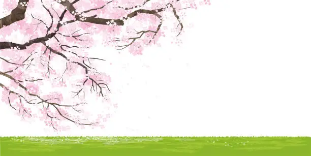 Vector illustration of Background illustration with cherry blossom tree