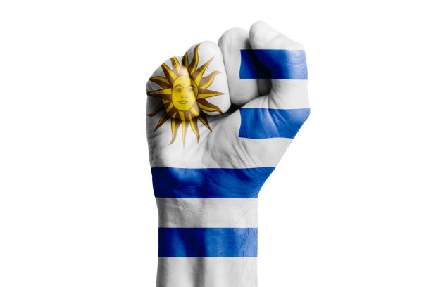 pugno della mano dell'uomo della bandiera dell'uruguay dipinto. isolare - 5552 foto e immagini stock