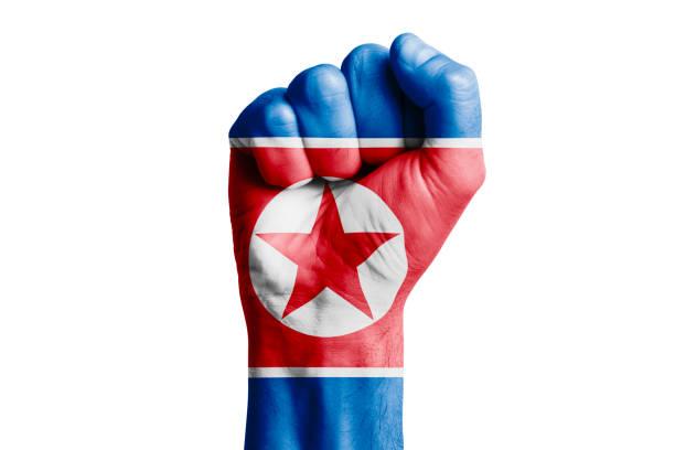 man hand fist of korea north flag painted. isolate - 5548 imagens e fotografias de stock