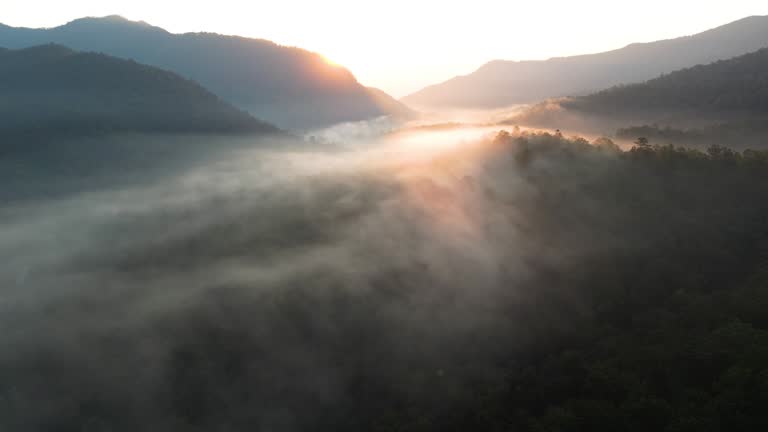 Sunrise Above the Forest and Moving Mist on the Forest