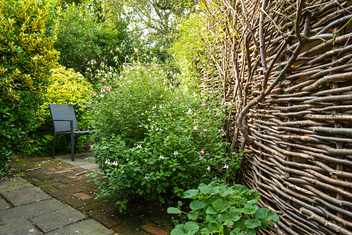 Small but lovely semi wild cottage garden showing newly design garden furniture and patio area.