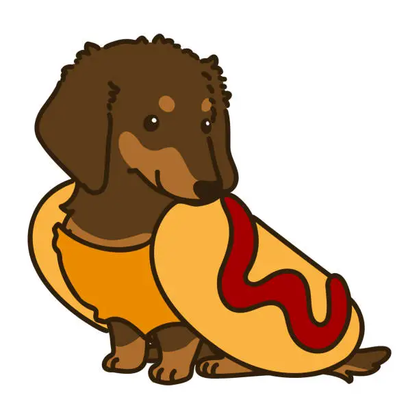 Vector illustration of Simple and cute Halloween illustration of hot dog Miniature Dachshund outlined