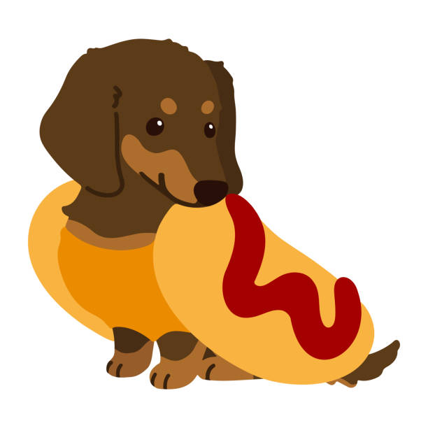 prosta i urocza ilustracja halloween hot doga miniaturowy jamnik płaski kolorowy - dachshund hot dog dog smiling stock illustrations