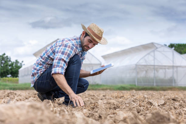 istock Smart farming technology and agriculture. 1726141177
