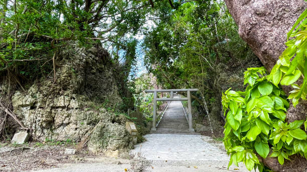 istock Shirmichu Hamahigajima, Uruma City, Okinawa Prefecture 1726157621