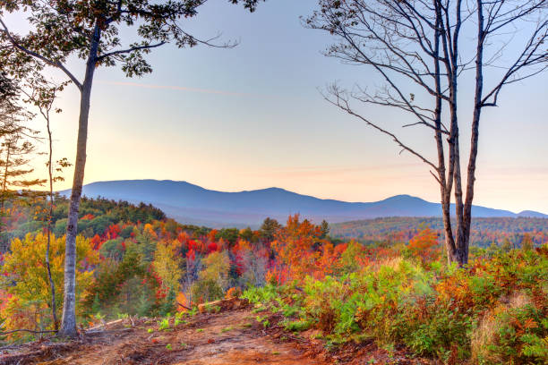 montaña saddleback en rangeley, maine - saddleback mountain fotografías e imágenes de stock