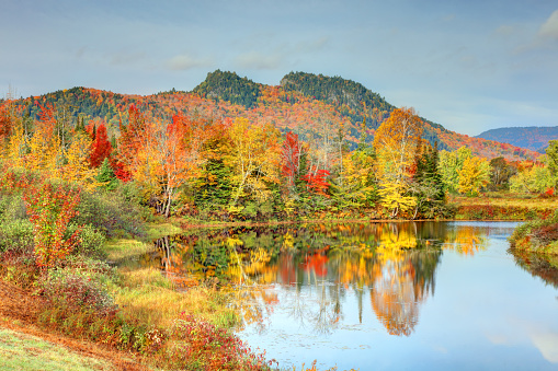Autumn foliage along the Magalloway River in northwestern Maine