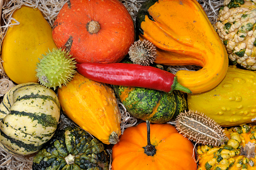 Collection of fresh healthy fruits and vegetables for Thanksgiving. Harvest of  Autumn.
