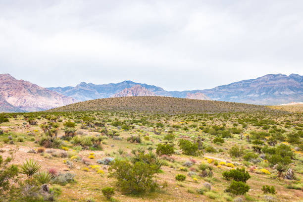 istock sunset in red rock canyon 1726201489