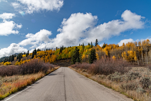 Autumn colors along quiet road of the Grand Teton National Park of the Yellowstone Ecosystem in western USA of North America. Nearest cities are Jackson, Wyoming, Bozeman and Billings, Montana Salt Lake City, Utah, and Denver, Colorado