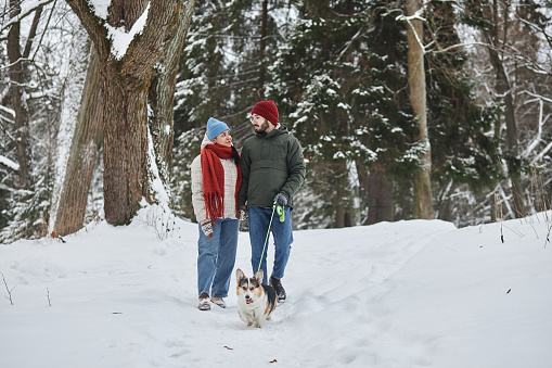 Full length portrait of young couple walking dog in winter forest and looking at each other with affection, copy space