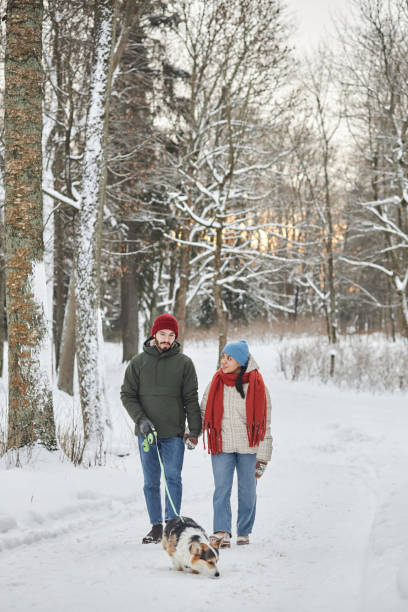 istock Young couple walking dog in winter forest 1726223331