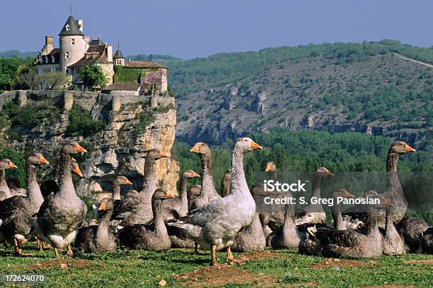 Dordogne Postcard Stock Photo - Download Image Now - Dordogne, France, Landscape - Scenery