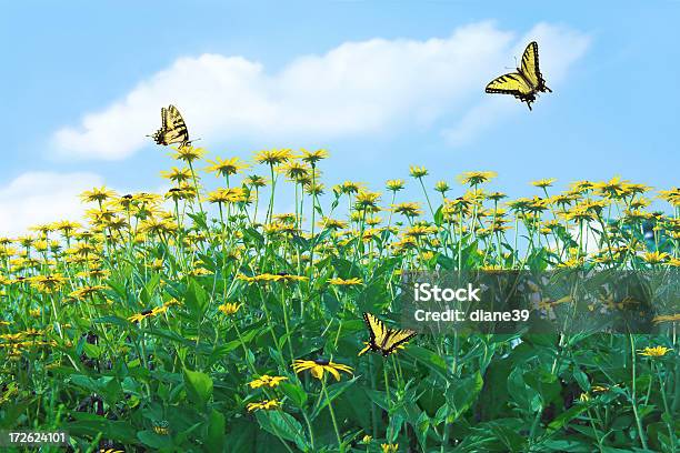 Frühling Blumen Mit Schmetterlingen Stockfoto und mehr Bilder von Aufnahme von unten - Aufnahme von unten, Blau, Blume