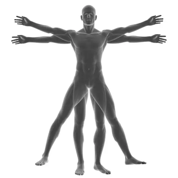 Photo of Human body of a Vitruvian man for study