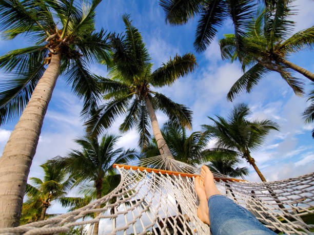 istock Hammock Time on Vacation in the Florida Keys 1726242834