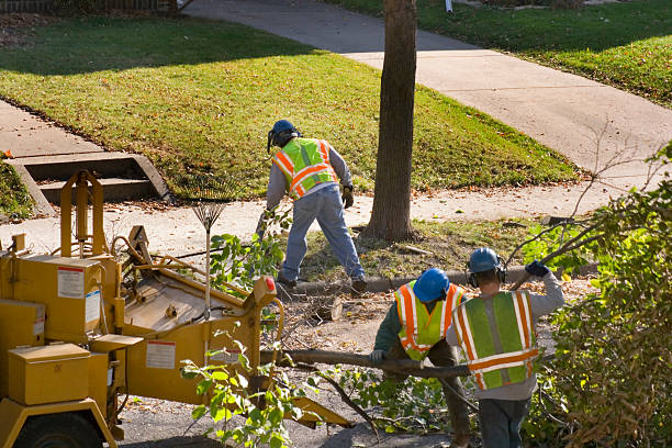 baum stutzen service mit häcksler und die arbeiter auf die straße - grinding grinder work tool power tool stock-fotos und bilder