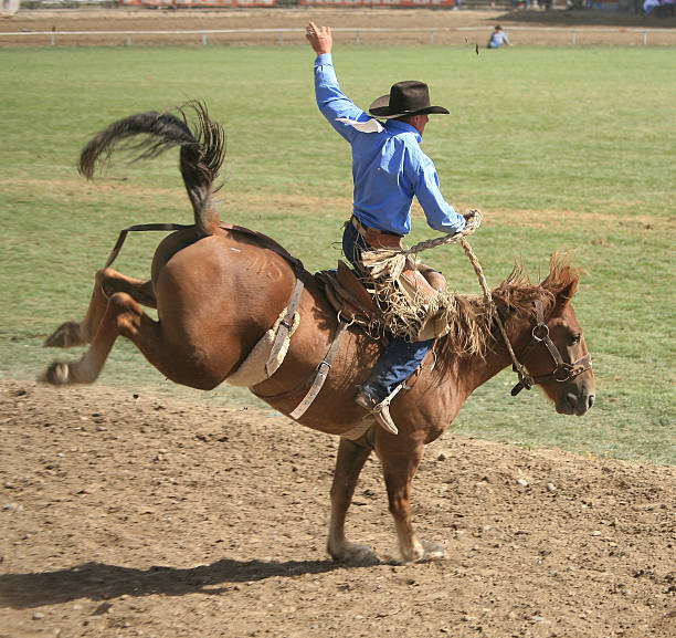 istock Rodeo rider on bucking horse 172624605