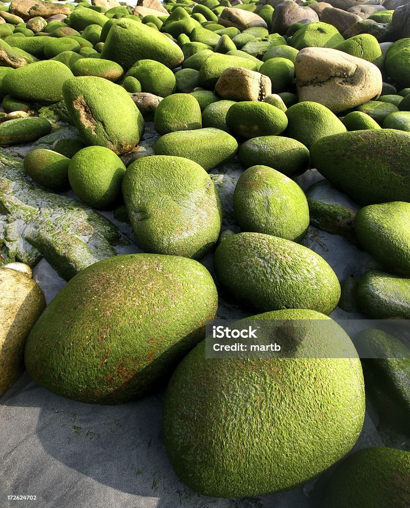 Green Boulder - Lizenzfrei Biegung Stock-Foto