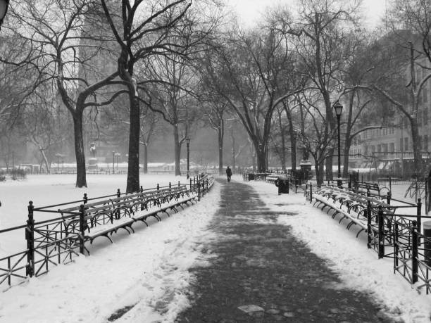 istock union square park, new york, ny 172624856
