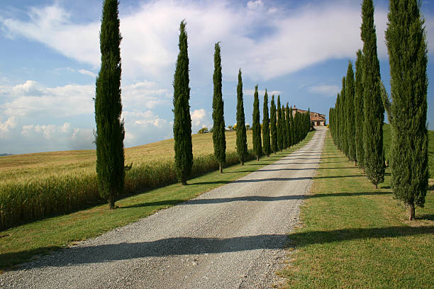 istock Classic Tuscan Farmhouse 172624950