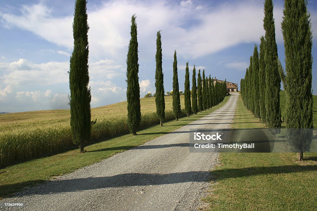 Toscana clássica da fazenda - Foto de stock de Estrada royalty-free