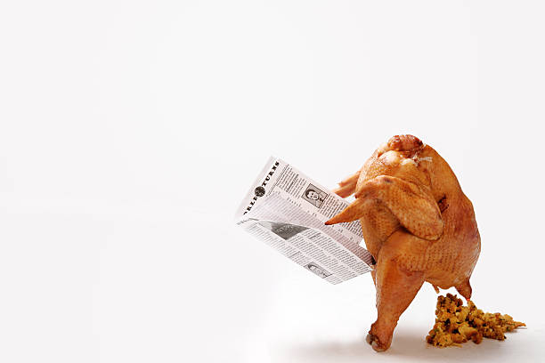 Thanksgiving Turkey Pooping Stuffing A thanksgiving turkey relieves itself of holiday stuffing while reading a newspaper. thanksgiving holiday hours stock pictures, royalty-free photos & images