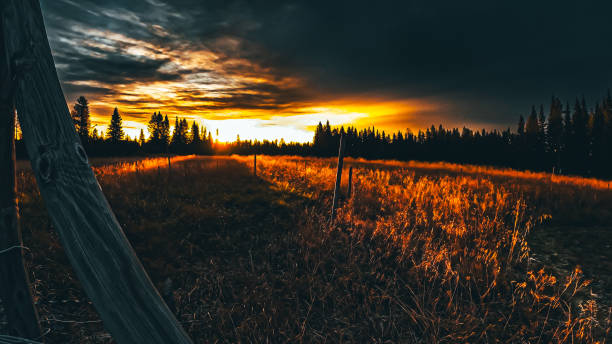 Höstfärger i Norrland