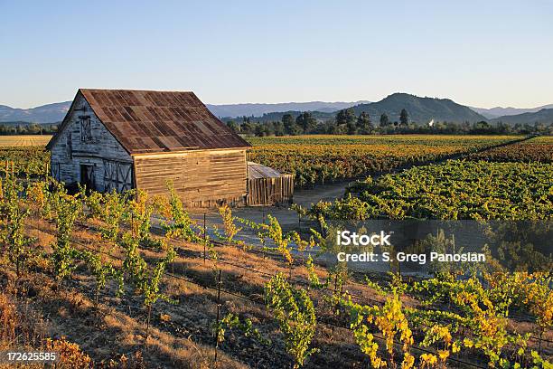 Vineyard Bauernhaus Stockfoto und mehr Bilder von Healdsburg - Healdsburg, Verwaltungsbezirk Sonoma County, Kalifornien