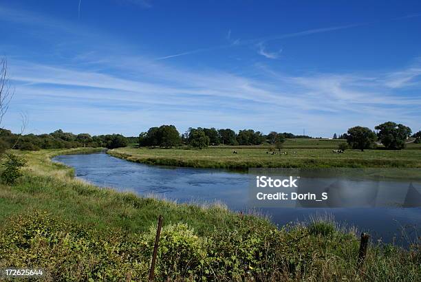 Grand River A Waterloo Ontario - Fotografie stock e altre immagini di Fiume - Fiume, Maestosità, Ontario - Canada