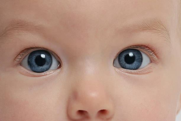istock big blue eyes, baby face 172626072