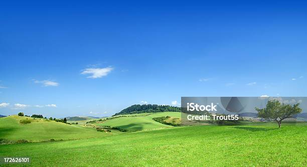 Landschaft Stockfoto und mehr Bilder von Abgeschiedenheit - Abgeschiedenheit, Baum, Blau