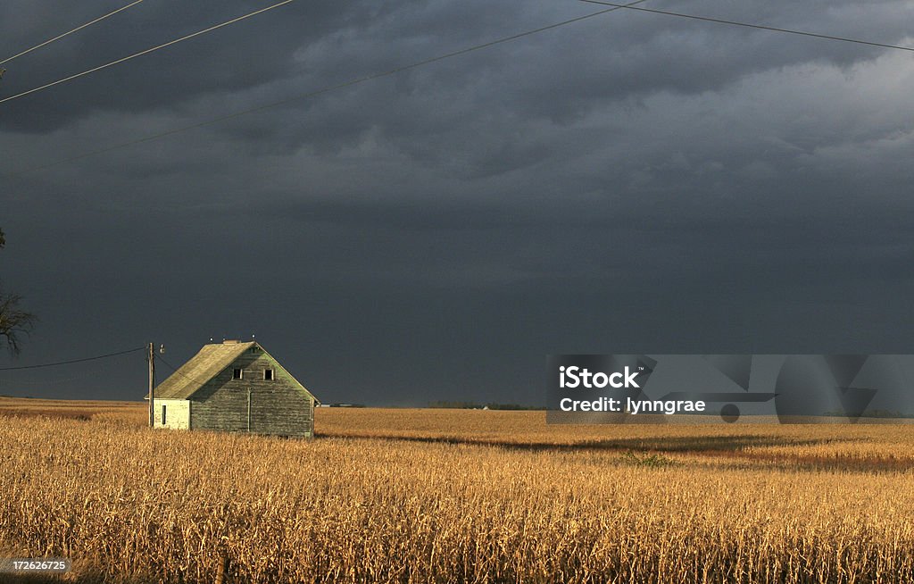 Grange en champ de maïs-Storm Clouds - Photo de Iowa libre de droits