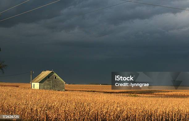 Fienile In Campo Di Maisstorm Cloud - Fotografie stock e altre immagini di Iowa - Iowa, Autunno, Notte