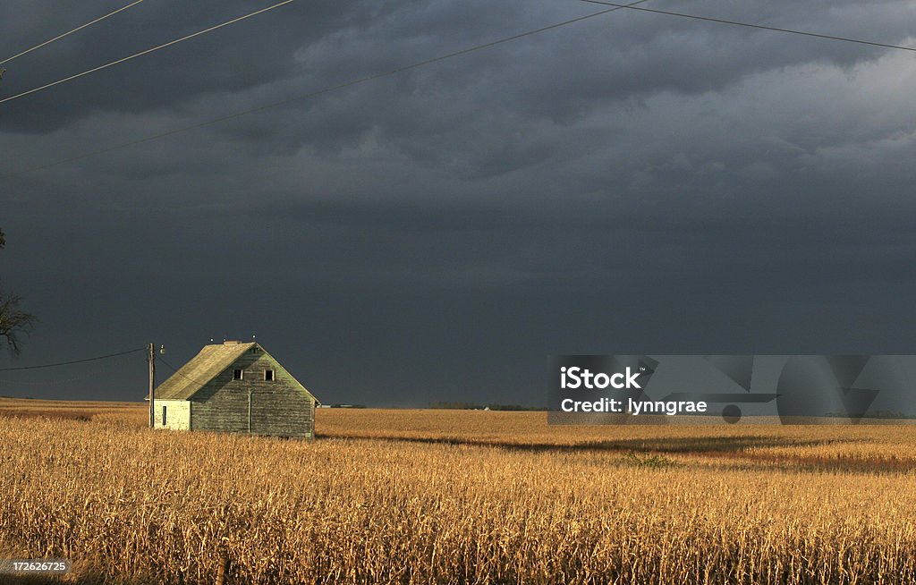 Barn no campo de milho de nuvens de tempestade - Foto de stock de Iowa royalty-free