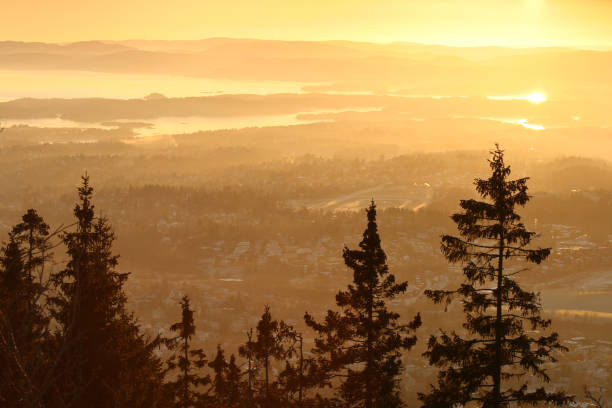 istock Winter sunset over the Oslo fjord 172626814