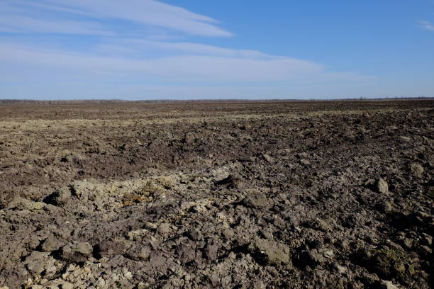 istock Blue sky over a plowed field. Spring landscape. Agriculture. 1726268355