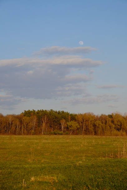 istock Cloudy evening sky over a beautiful autumn forest. Landscape. 1726268894