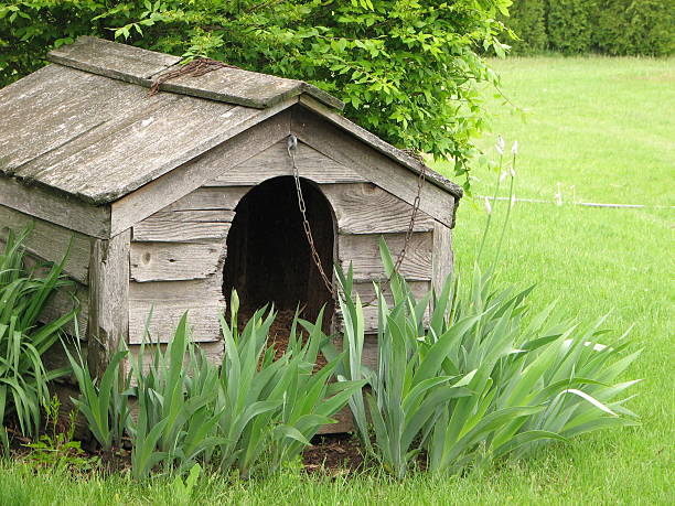 istock Weathered Wooden Dog House 172626903
