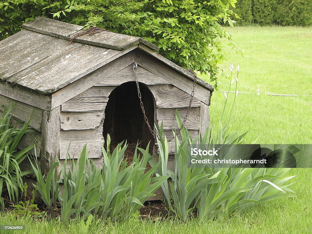 Weathered Wooden Dog House Weathered wooden dog house with chain among iris plants and shrubbery in backyard. Chain - Object Stock Photo