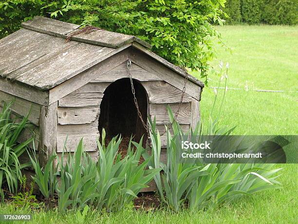 Weathered Wooden Dog House Stock Photo - Download Image Now - Chain - Object, Color Image, Concepts