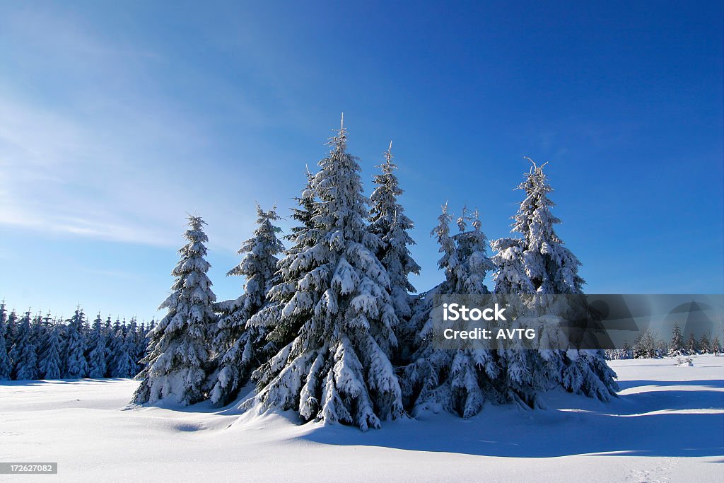 Zimowy krajobraz - Zbiór zdjęć royalty-free (Chłodny)