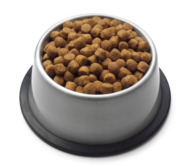 istock Dog Food 172627088