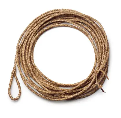 Lasso Examples Lasso Pictures | Download Free Images on Unsplash