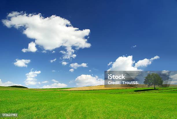 グリーンフィールドlonely Tree - Horizonのストックフォトや画像を多数ご用意 - Horizon, 写真, 地平線