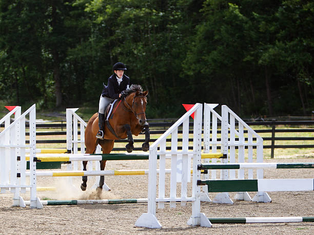 Horse & Rider Navigating a 3 jump combination stock photo