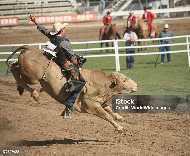 Родео Bull Rider — стоковые фотографии и другие картинки Родео - Родео, Бык - животное, Кататься